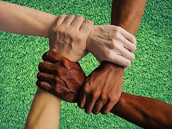 hands-hold-diversity.jpg