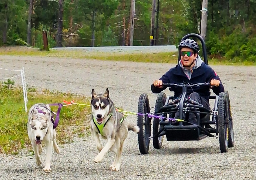 Bli med og test hundekjøring på Jervskogen i Malvik 3. juni.