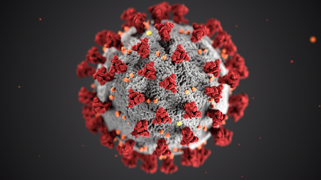 koronavirus.jpg