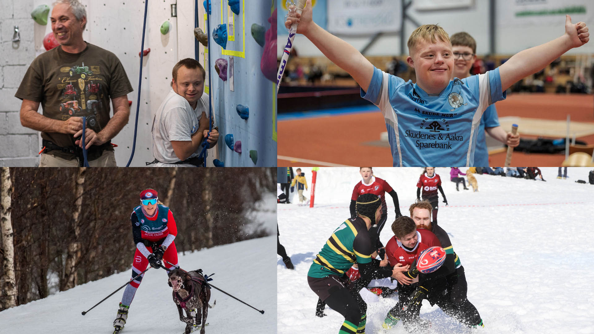 Klatring, innebandy, hundekjøring og snørugby er fire av idrettene du kan se under NM-veka og Norgesleker. BIldecollage: NIF