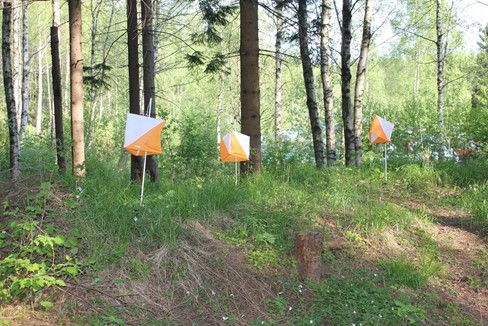 Bli med på paraidrettskveld i orientering torsdag 2. juni ved Ranheim Aktivitetshall i Trondheim.