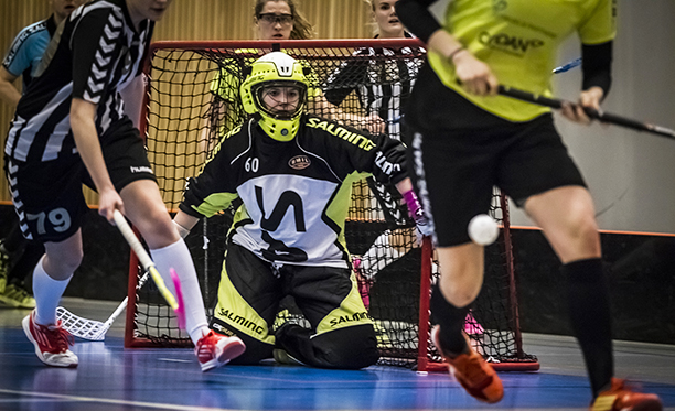 Innebandy til PM_612.jpg