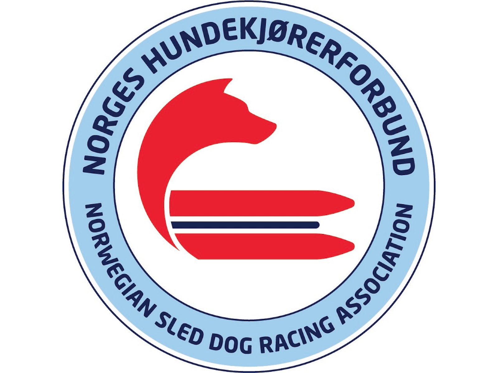 Hund.jpg