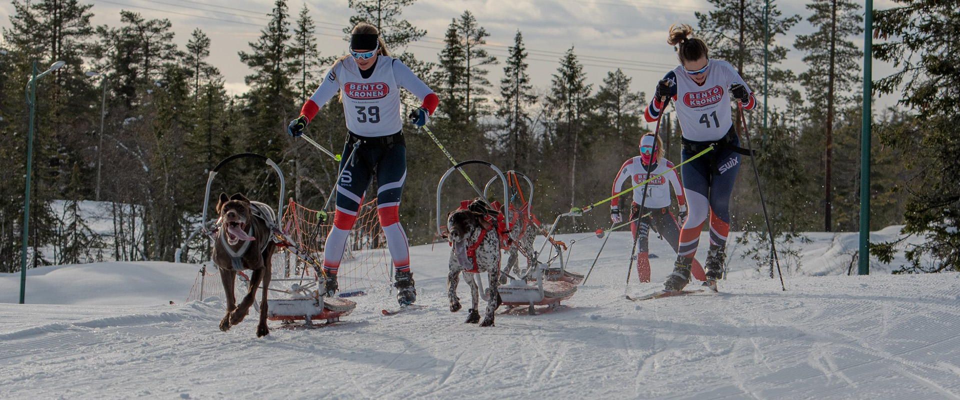 Idrettskretstinget er Vestfold og Telemark idrettskrets høyeste myndighet og holdes hvert andre år.
