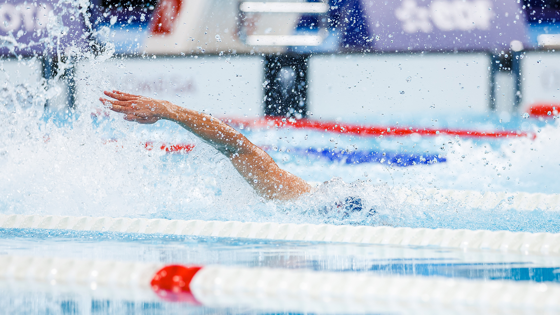 Fredrik Solberg i bassenget. Han vant bronse på 50 meter fri under paralympics i Paris 2024. Foto Alexander Eriksson