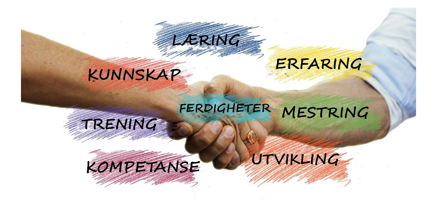 Kurs
