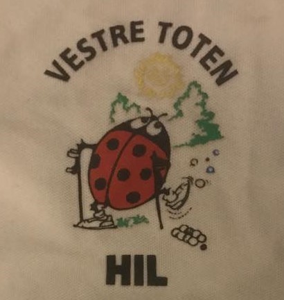 Vestre Toten Handikapidrettslag