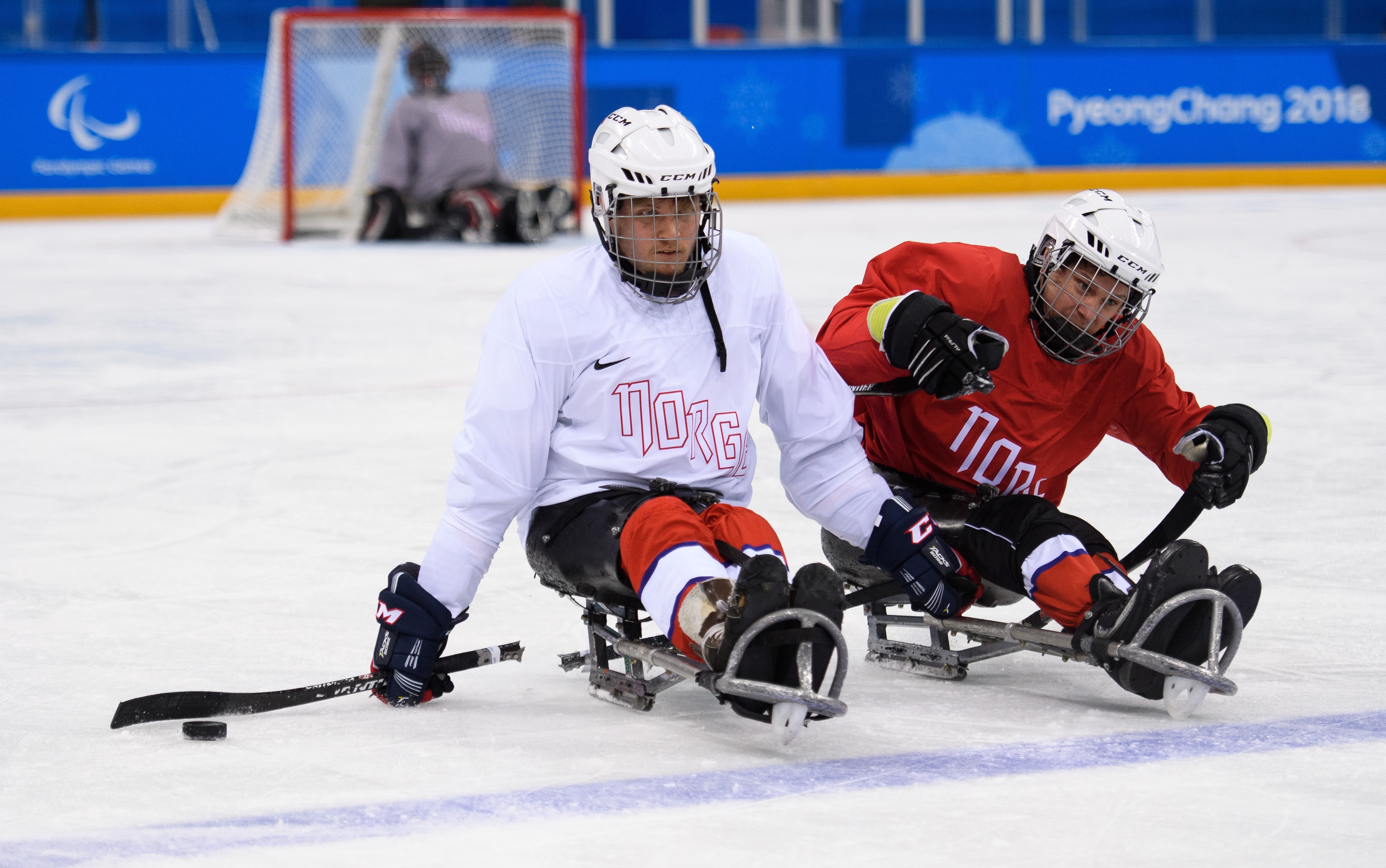 Torstein parahockey.jpg