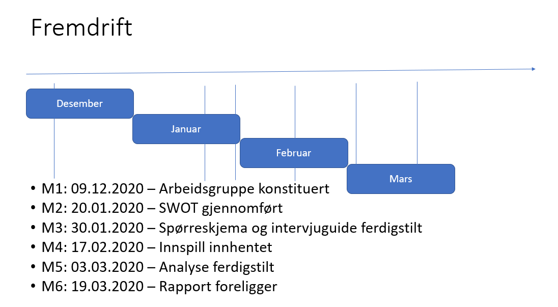 Resultater og rapporter foreligger innen utgangen av mars 2021.