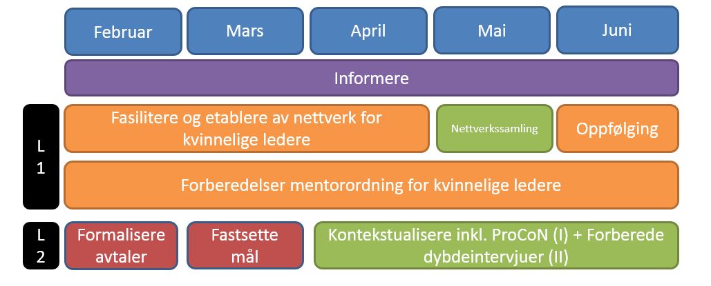 Illustrasjon av prosjektløpene i Prosjekt Likestilling