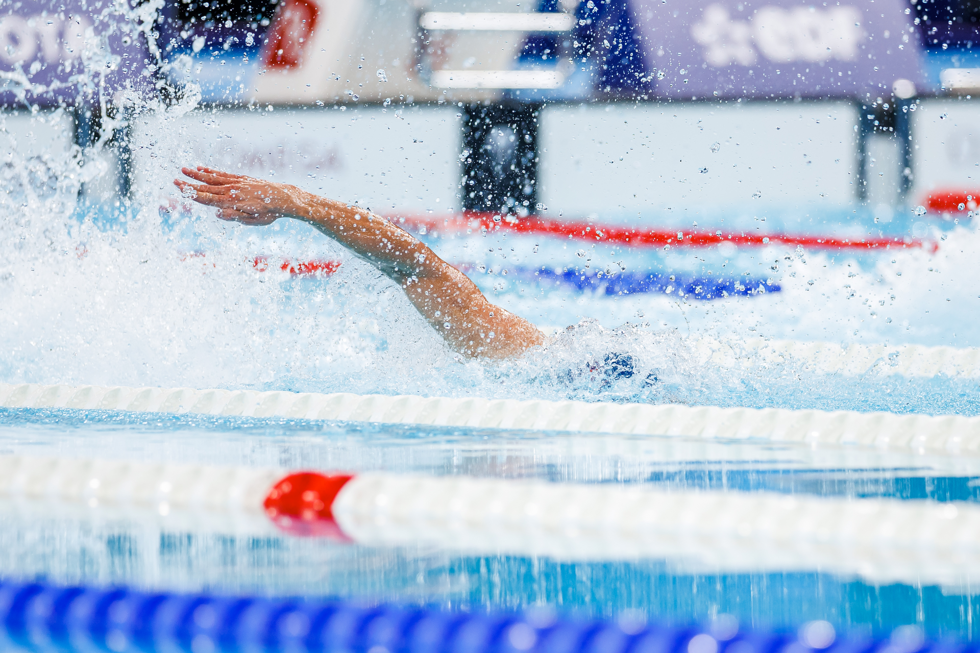 Foto: Alexander Eriksson