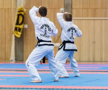 Tønsberg Taekwon-Do klubb
