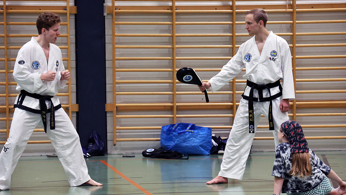 LIM_TaeKwonDo_fotoJanneLandås.jpg