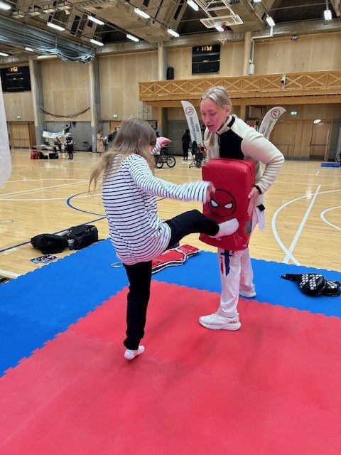 Taekwondo2.jpg