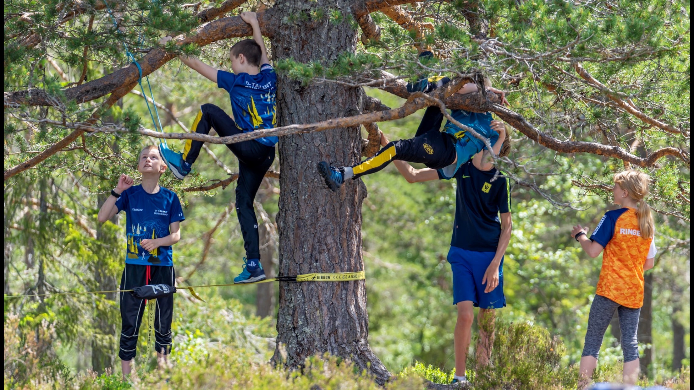 Foto: Terje Pettersen