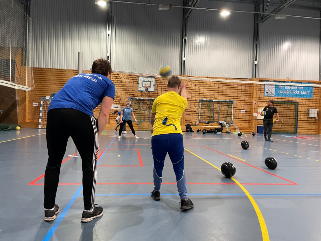 Tilrettelagt volleyball